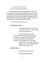 Referāts 'Argumentācijas spēju uzlabošana, izmantojot debates', 10.