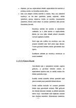 Referāts 'Argumentācijas spēju uzlabošana, izmantojot debates', 11.