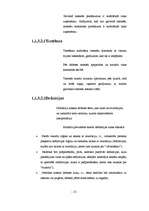 Referāts 'Argumentācijas spēju uzlabošana, izmantojot debates', 13.