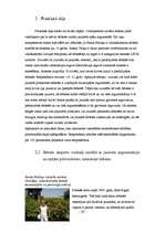 Referāts 'Argumentācijas spēju uzlabošana, izmantojot debates', 29.