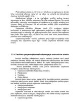 Referāts 'Konkurētspējas paaugstināšanas projekts', 16.