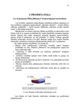 Referāts 'Konkurētspējas paaugstināšanas projekts', 20.