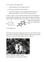 Prezentācija 'Podagras perēklis pēdas saistaudos', 3.