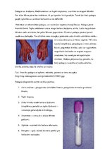 Prezentācija 'Podagras perēklis pēdas saistaudos', 7.