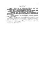 Referāts 'Līderis politikā', 3.