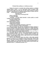 Referāts 'Līderis politikā', 7.