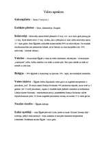 Referāts 'Ēģipte', 1.