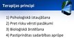 Prezentācija 'Posttraumatiskā stresa sindroms', 12.