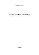 Referāts 'Kukuļošanas lietu izmeklēšana', 1.