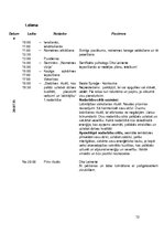 Referāts 'Veselību veicināšanas projekts', 12.