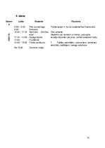 Referāts 'Veselību veicināšanas projekts', 16.