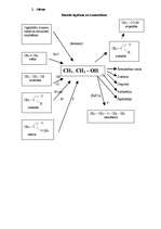 Referāts 'Etanols', 2.