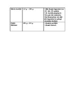 Konspekts 'Grieķijas un Romas ievērojamākās personības', 2.