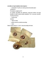 Konspekts 'Šokolādes konfekšu iepakošana', 5.