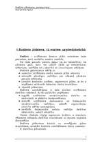 Konspekts 'Budžeta plānošana, pamatprincipi', 2.