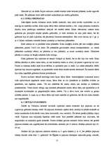 Referāts 'Rakstības vēsture', 13.