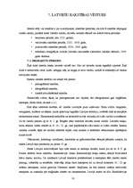 Referāts 'Rakstības vēsture', 16.