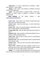 Referāts 'Vēstules', 7.