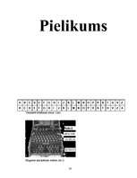 Referāts 'Vēstules', 24.