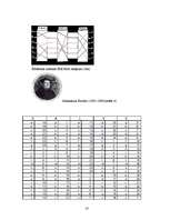 Referāts 'Vēstules', 25.