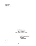 Referāts 'Vēstules', 28.