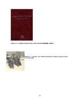 Referāts 'Vēstules', 35.