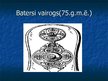 Prezentācija 'Ķeltu māksla, tās raksturojums, izpausmes veidi', 35.