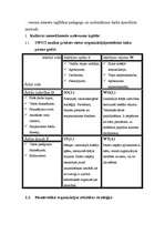 Prakses atskaite 'Prakse organizācijā "Valsts jaunatnes iniciatīvu centrs"', 2.