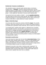 Konspekts 'Hetitu vēsture, kultūra, mitoloģija, sabiedrība un kultūras mantojums', 11.