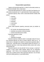 Referāts 'Starptautiskās organizācijas', 2.