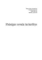 Konspekts 'Piebalgas novada tautastērps', 1.