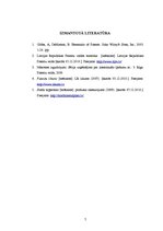 Referāts 'Inovatīvas idejas patentēšana', 7.