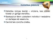 Prezentācija 'Holistiskā pieeja', 2.