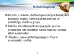 Prezentācija 'Holistiskā pieeja', 10.