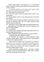 Diplomdarbs 'Grāmatvedības darba organizācija uzņēmumā', 17.