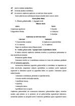 Diplomdarbs 'Grāmatvedības darba organizācija uzņēmumā', 22.