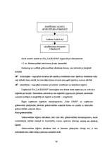 Diplomdarbs 'Grāmatvedības darba organizācija uzņēmumā', 36.