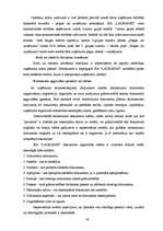 Diplomdarbs 'Grāmatvedības darba organizācija uzņēmumā', 38.