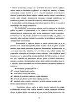 Diplomdarbs 'Grāmatvedības darba organizācija uzņēmumā', 48.