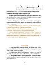 Diplomdarbs 'Grāmatvedības darba organizācija uzņēmumā', 52.