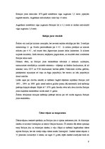 Referāts 'Baltijas jūra un tās ekoloģiskās problēmas', 9.