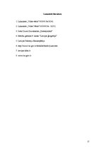 Referāts 'Baltijas jūra un tās ekoloģiskās problēmas', 17.