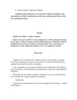 Biznesa plāns 'Biznesa plāns. Biljarda zāle "El Rio"', 3.