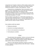 Biznesa plāns 'Biznesa plāns. Biljarda zāle "El Rio"', 5.