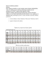 Biznesa plāns 'Biznesa plāns. Biljarda zāle "El Rio"', 9.