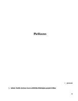 Referāts 'Cēsu novada rekreatīvā tūrisma produktu analīze un attīstības iespējas', 36.