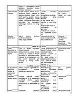 Referāts 'Cēsu novada rekreatīvā tūrisma produktu analīze un attīstības iespējas', 38.