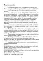 Referāts 'Galvas mazgāšana, galvas masāža un dabīgie matu kopšanas līdzekļi', 7.