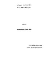Konspekts 'Mugurkaula kakla daļa', 1.