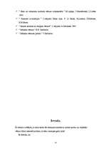 Referāts 'Kultūra un reliģija Senajā Ēģiptē', 13.